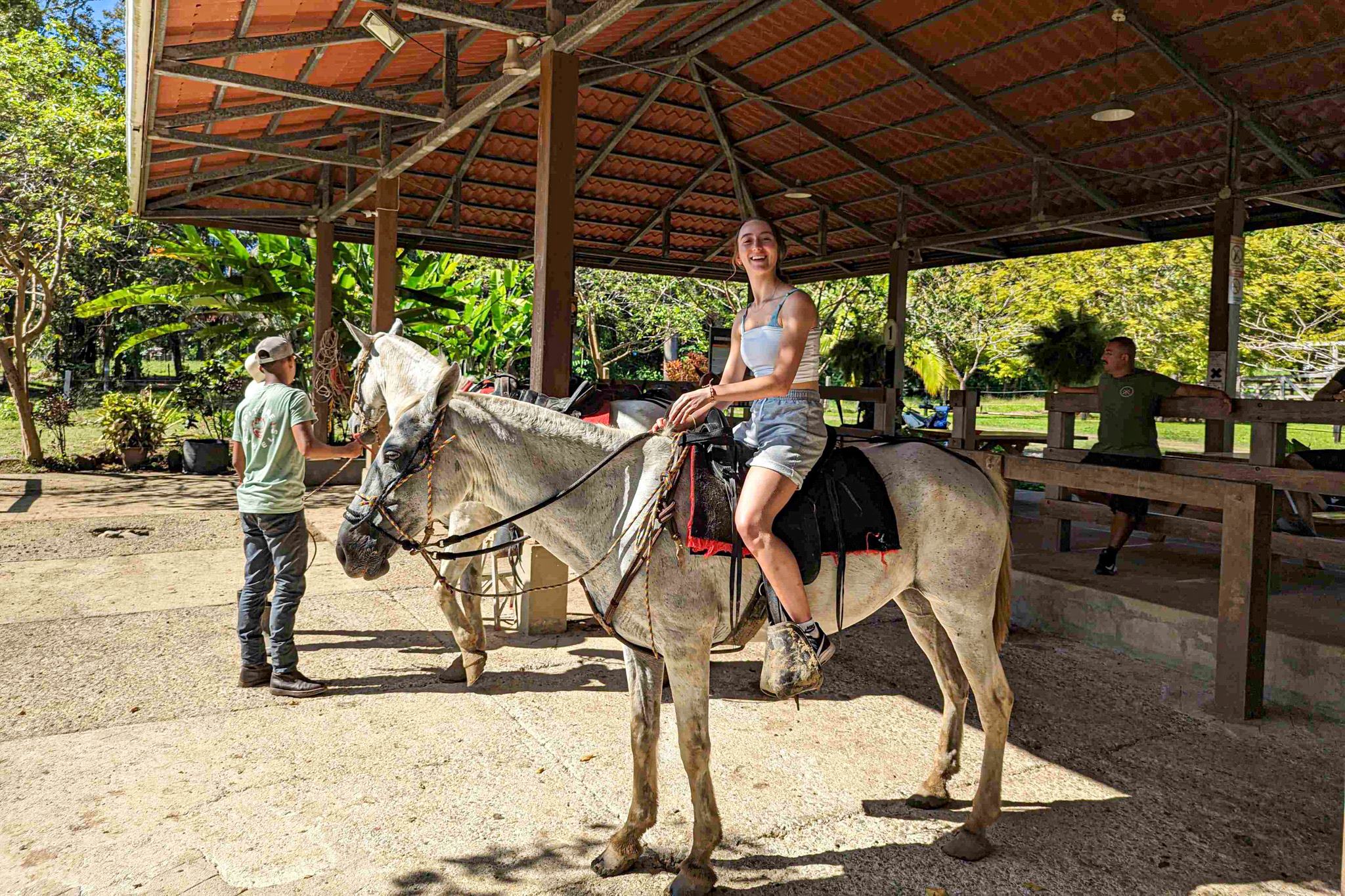 fille sur un cheval